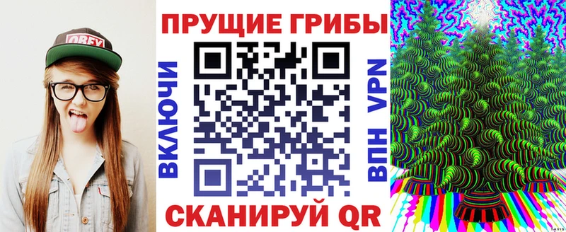 Псилоцибиновые грибы GOLDEN TEACHER Дрезна