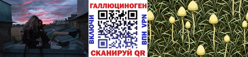 Галлюциногенные грибы прущие грибы  Дрезна 